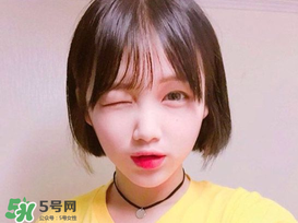 韩式短发2017_2017韩国短发流行趋势